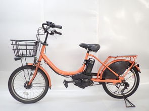 日本电动自行车代购与购买指南 从新品到二手及维修须知