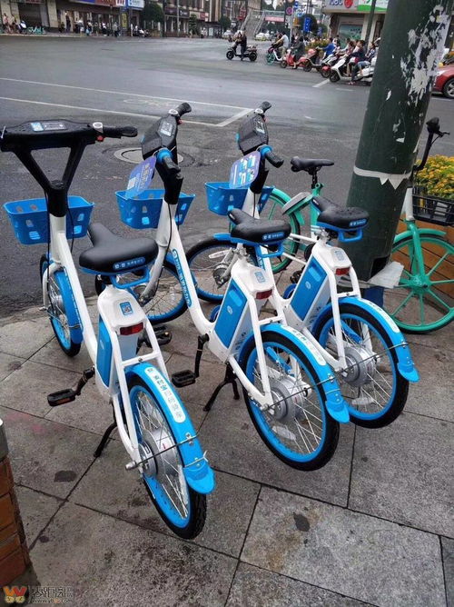 共享电动车进驻宜宾 哈罗单车助力车使用指南与常见修理知识